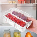 Cesto Organizador para Geladeira com Tampa – 23,5x16,5x6,5cm, Transparente, Com Divisórias Removíveis, Plástico